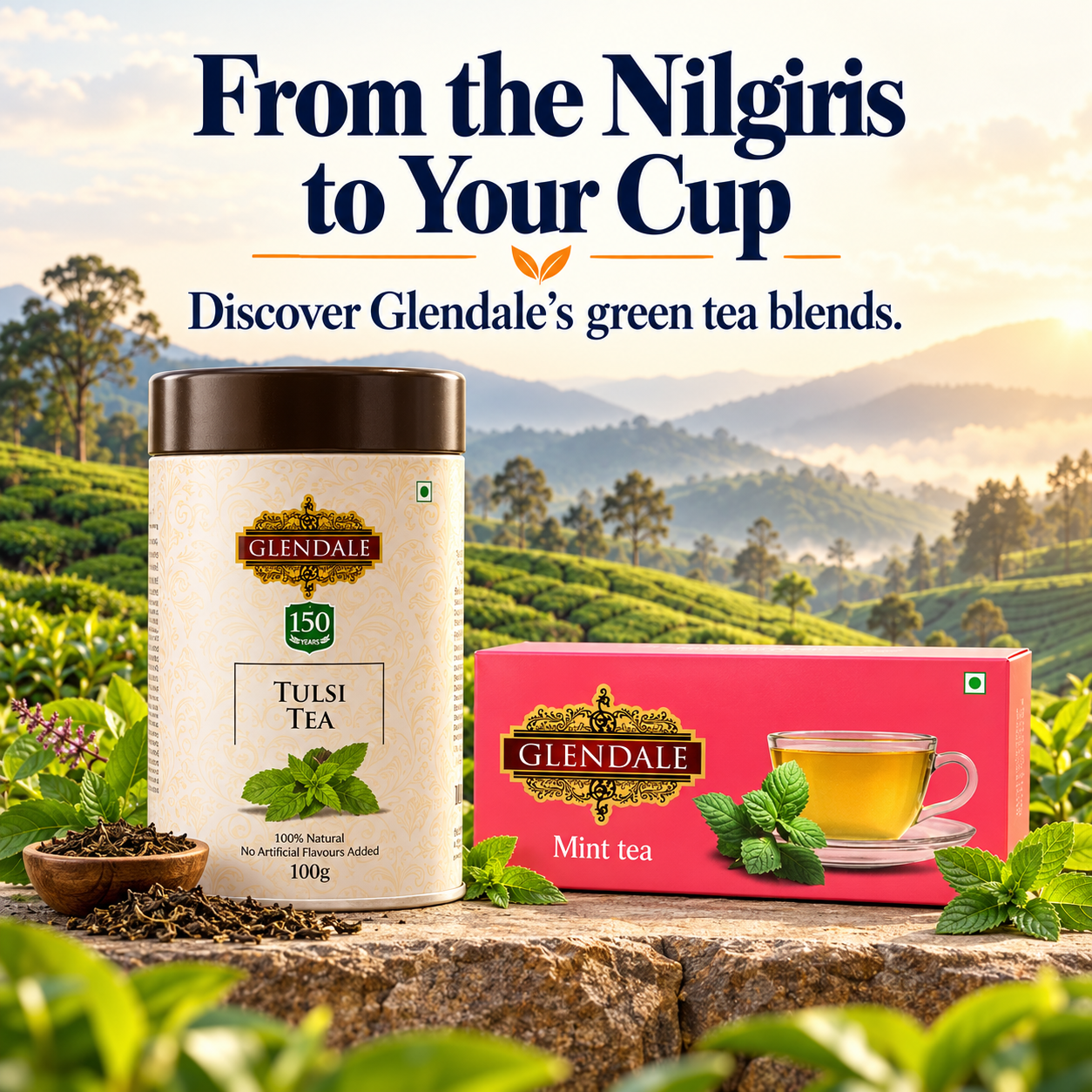 Buy 2 Get 1 Free - Buy Glendale Tulsi Tea Tin 100g (Pack of 2) 150 Years Heritage | Get GLENDALE Mint Tea | 25 Enveloped Tea Bags | Pack of 1 - Image 6